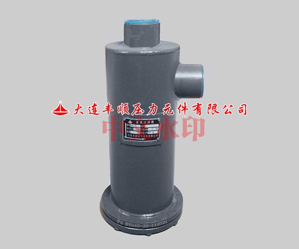 氨泵(bèng)過濾器(qi)